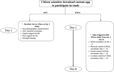 Figure 1: