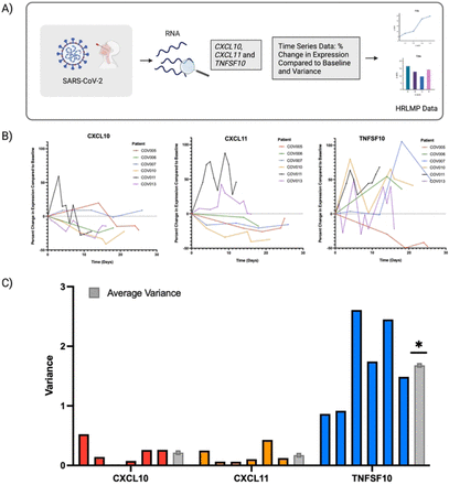 Figure 4: