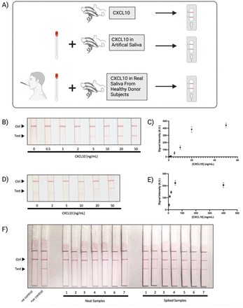 Figure 6: