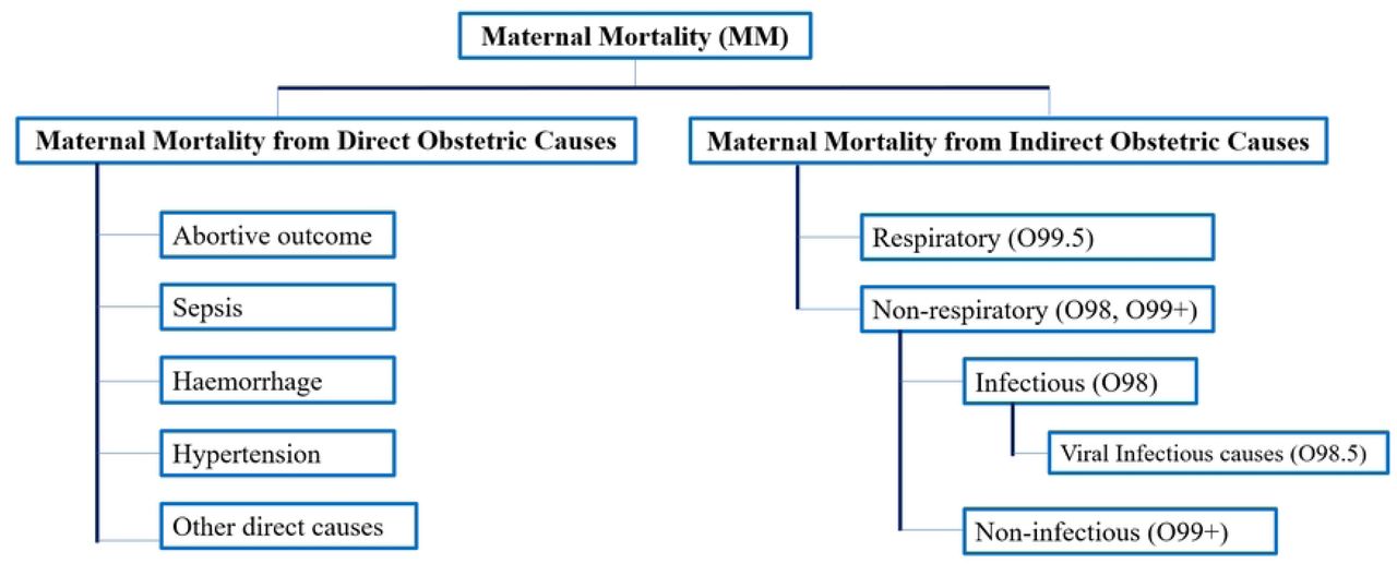 Impact of COVID-19 pandemic on time series of maternal mortality