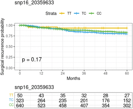 Supplementary Figure 4.