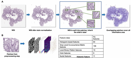 Figure 1: