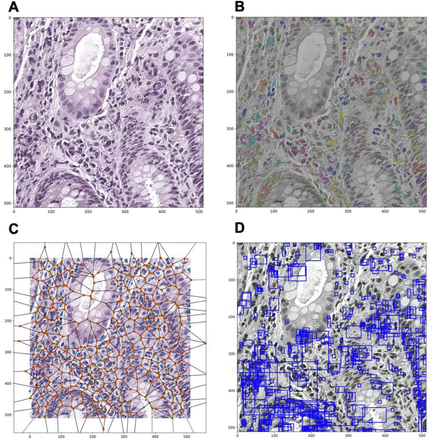 Figure 2: