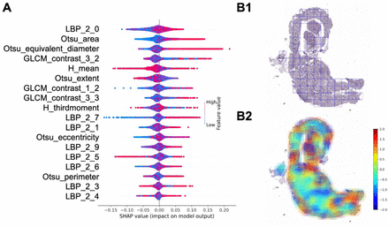 Figure 4: