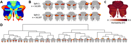 Figure 1: