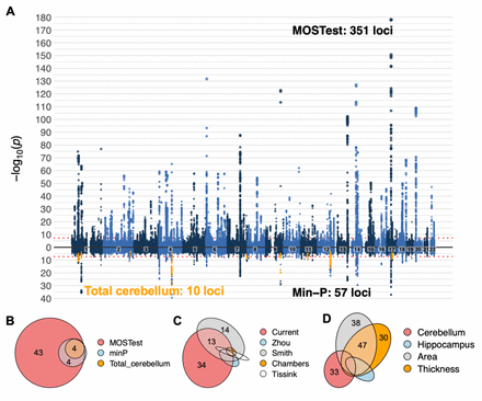 Figure 2: