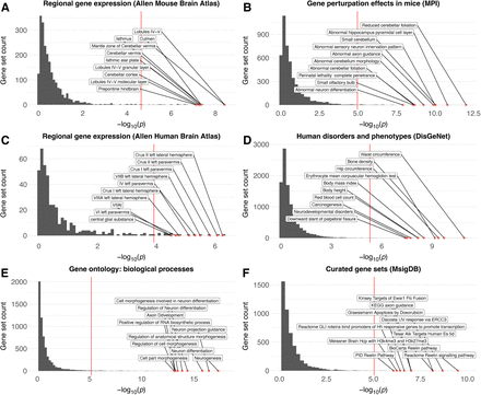 Figure 6: