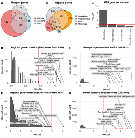 Figure 7: