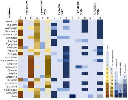 Fig 4.