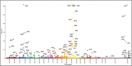 Figure 4: