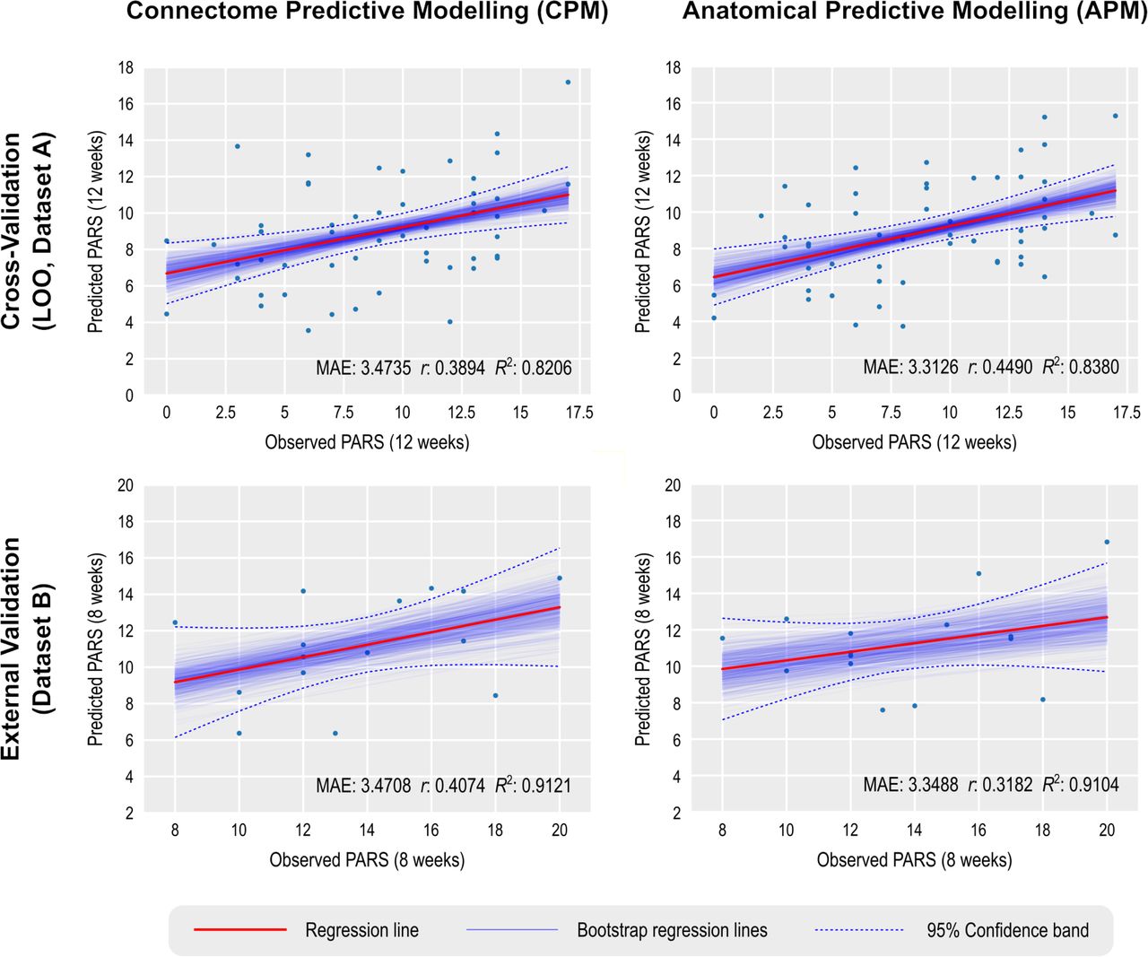 Brain Functional Connectivity and Anatomical Features as