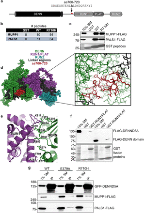 Figure 4: