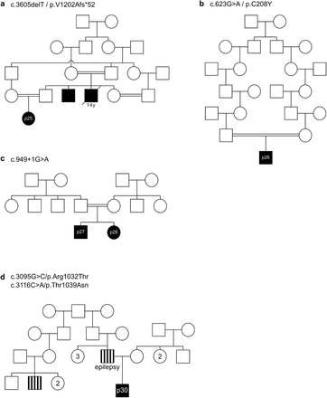 Extended Data Figure 1: