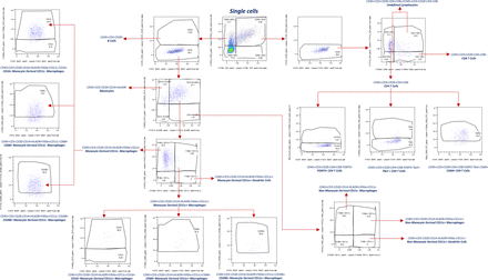 Supplementary Figure 3