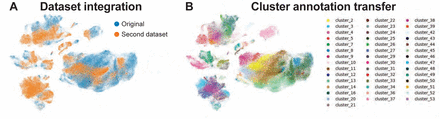 Supplementary Figure 5