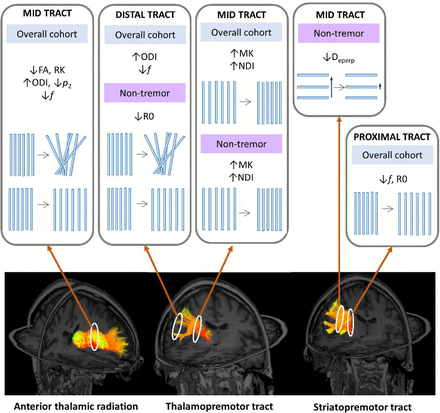 Figure 6: