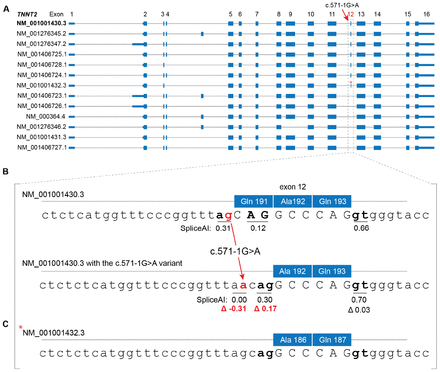 Figure 1: