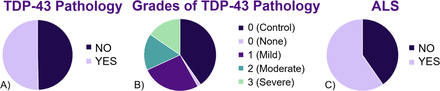 Figure 10: