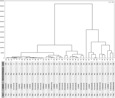 Figure 22: