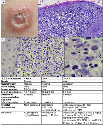 Figure 1: