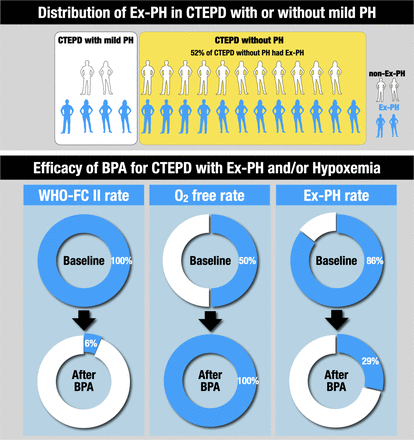 Graphical Abstract.