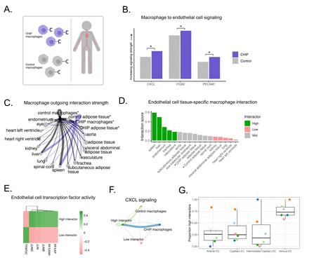 Figure 4: