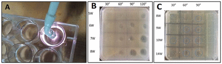 Figure 2.