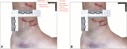 Figure 7: