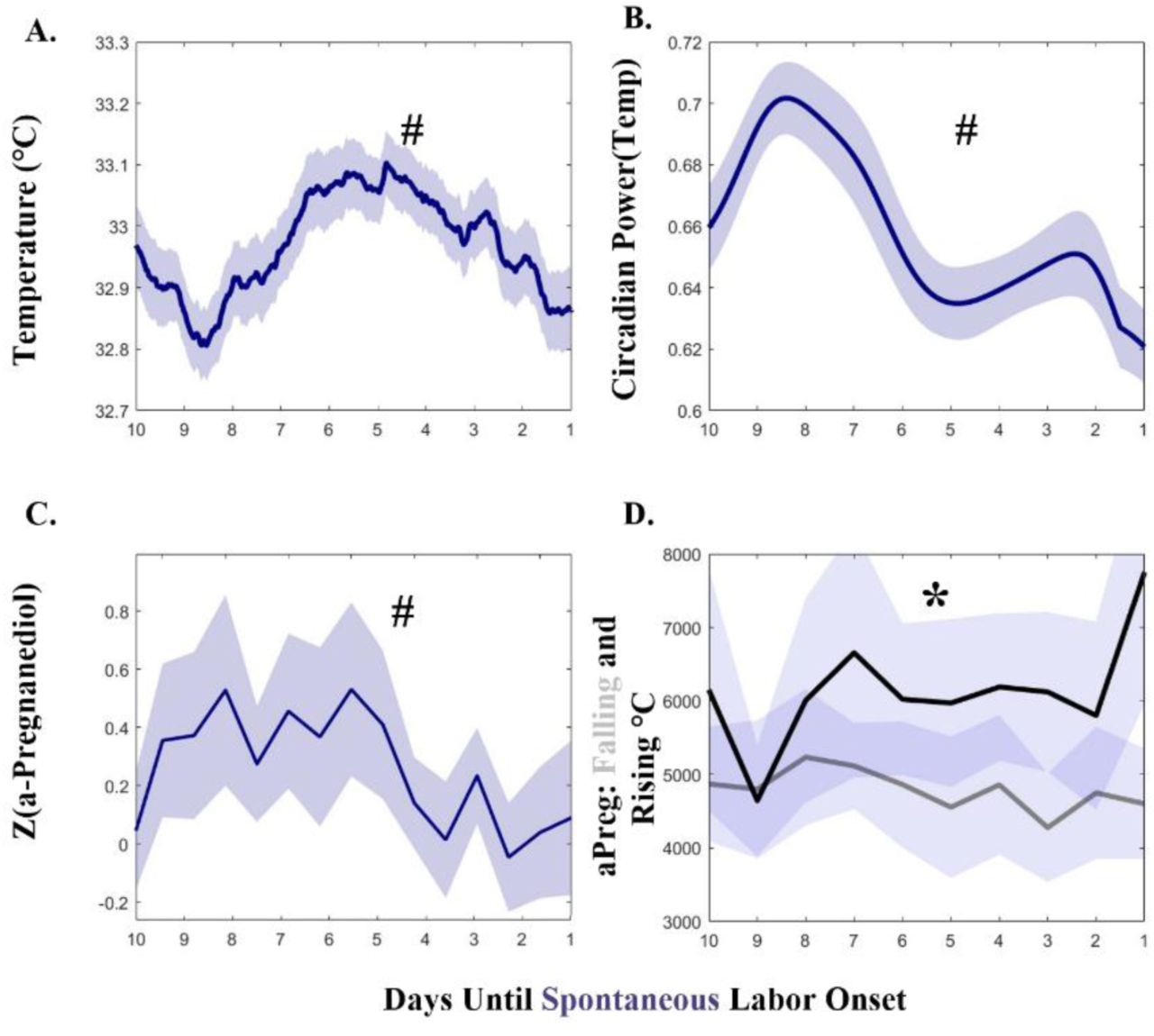 Menstrual Cycle During Pregnancy