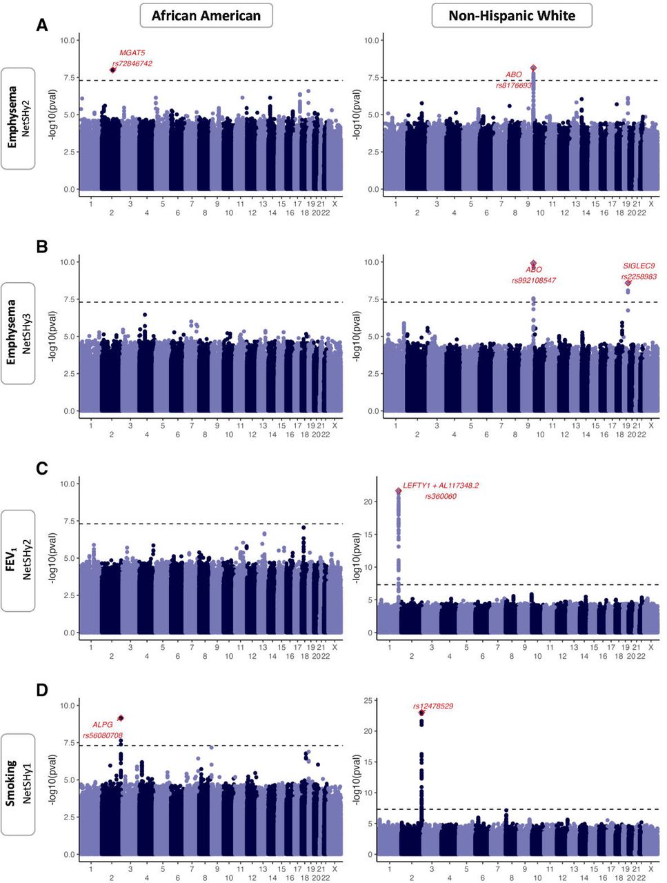 Proteomic Networks and Related Genetic Variants Associated with Smoking and Chronic Obstructive Pulmonary Disease