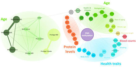 Figure 2: