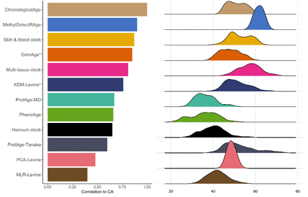 Figure 3: