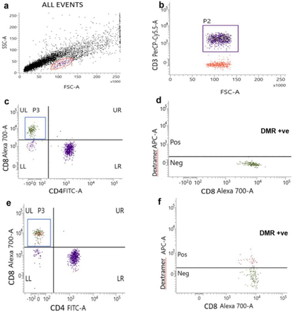 Figure 4: