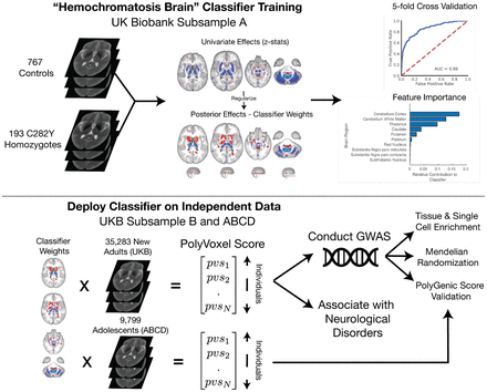 Figure 1: