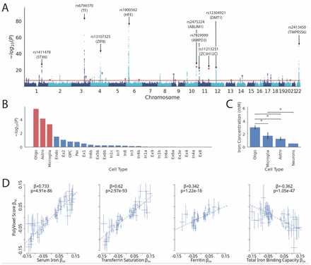 Figure 2: