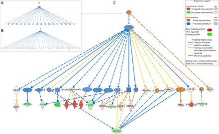 Figure 10.