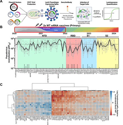 Figure 2: