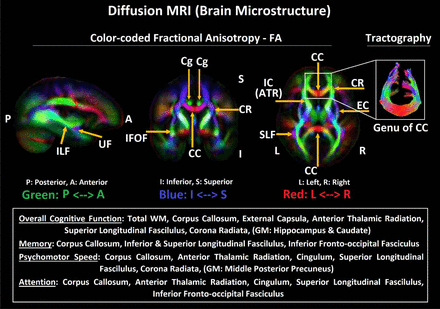 Figure 3: