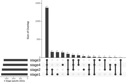 Fig 6.