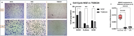 Figure 2: