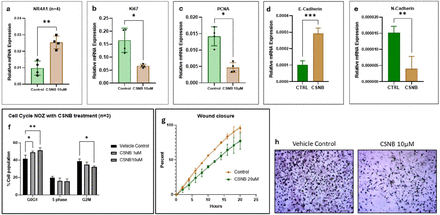 Figure 3: