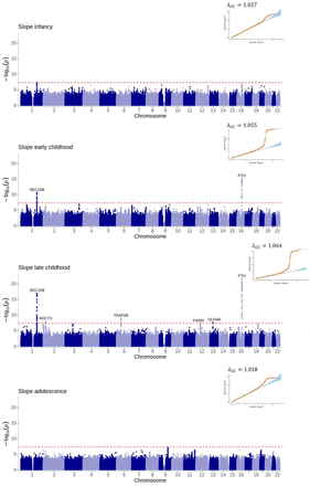 Figure 5: