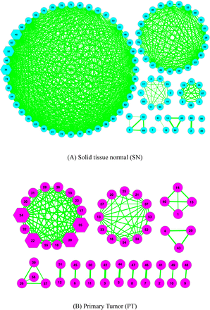 Fig 3.