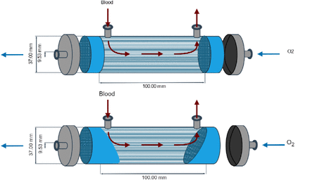 Figure 2: