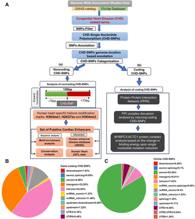 Fig 1: