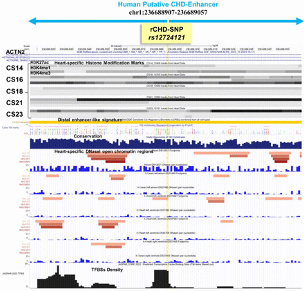 Fig 3: