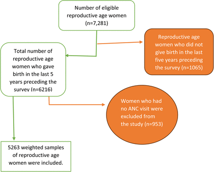 Fig 1: