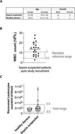 Figure 1: