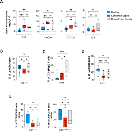 Figure 11: