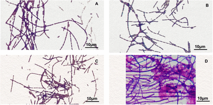 Figure 2: